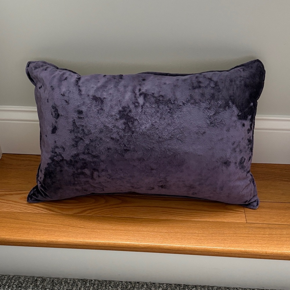 Luxurious Velvet Accent Pillow in Purple
